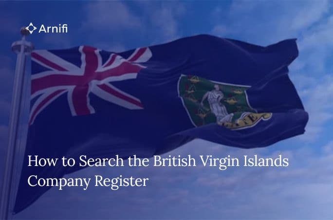 How to Search the British Virgin Islands Company Register (Step-by-Step)