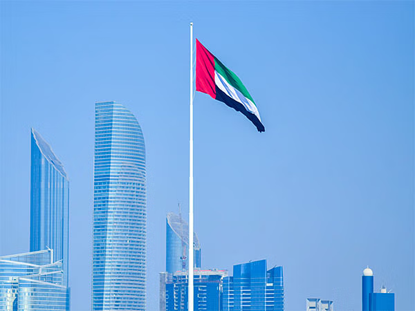 LETTER OF CONSENT IN THE UAE