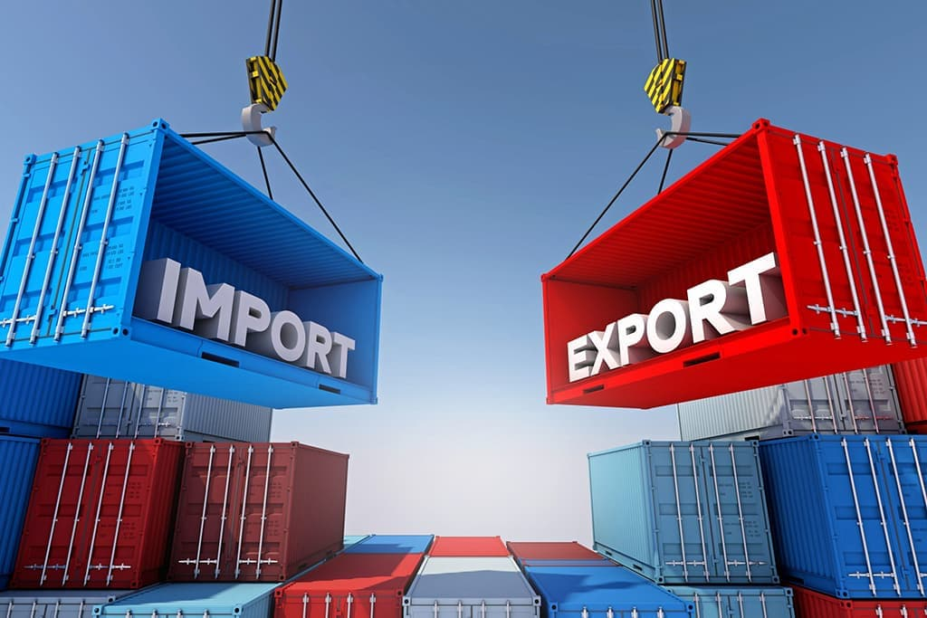 Steps to Apply for an Import-Export Code in Dubai