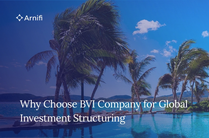 Why Investors Choose BVI