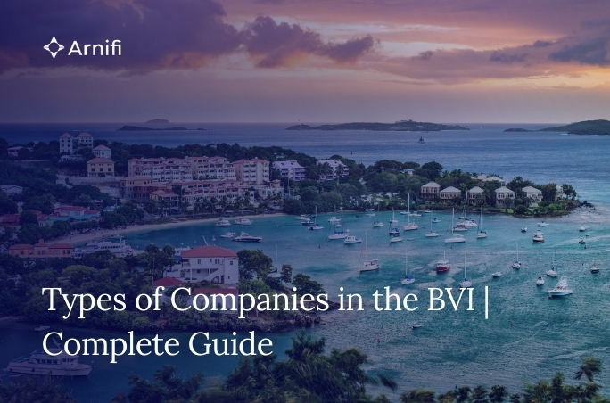 Types of Companies in the BVI | Complete Guide