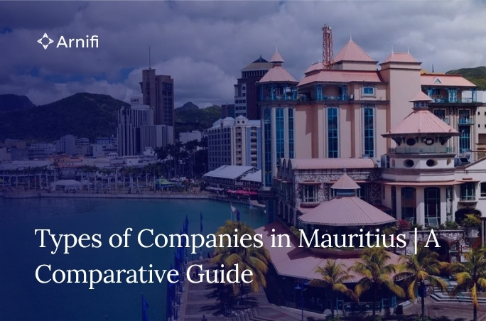 Types of Companies in Mauritius | A Comparative Gu...