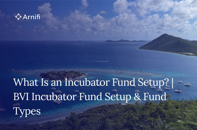What Is an Incubator Fund Setup? | BVI Incubator Fund Setup & Fund Types