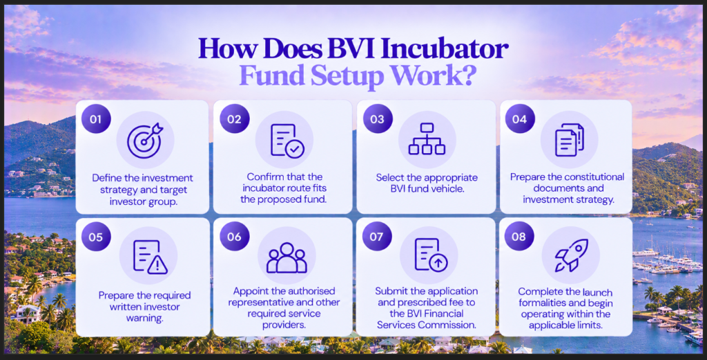 How Does BVI Incubator Fund Setup Work Image